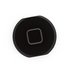 iPad Mini Home Button