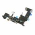 iPhone 5 Dock Connector and Headphone Jack