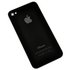 iPhone 4S Rear Glass Panel
