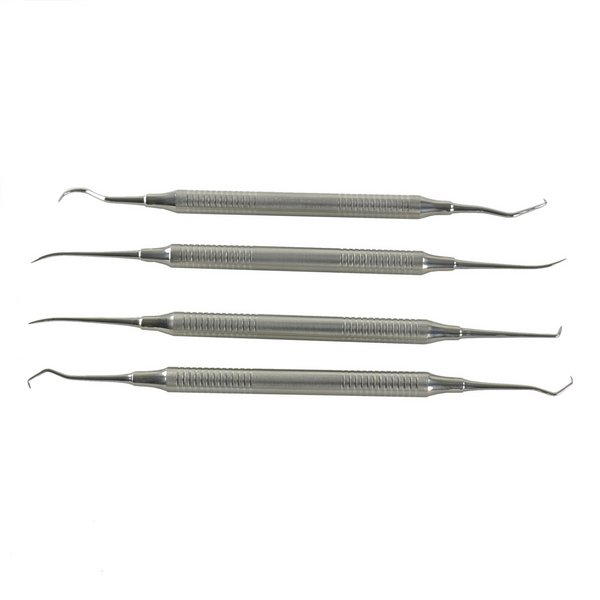 Probe and Pick Set / Pro / Dental Style